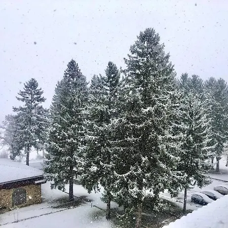Appartamento Snowflake - Private